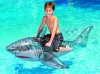 Swimline -  Inflatable Pool Shark